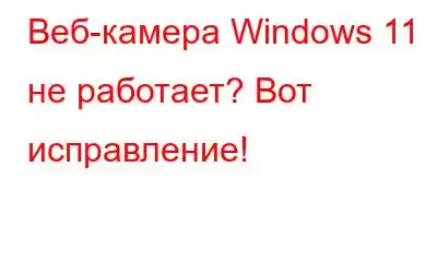 Веб-камера Windows 11 не работает? Вот исправление!