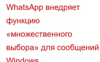 WhatsApp внедряет функцию «множественного выбора» для сообщений в Windows