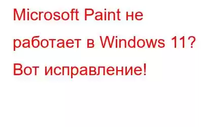 Microsoft Paint не работает в Windows 11? Вот исправление!