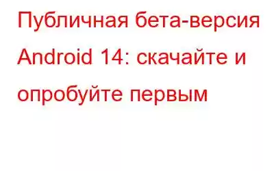 Публичная бета-версия Android 14: скачайте и опробуйте первым