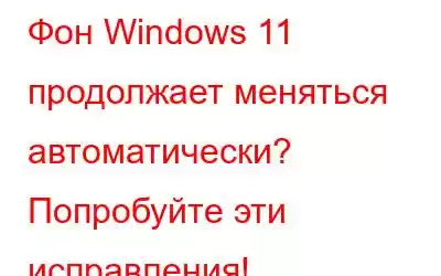 Фон Windows 11 продолжает меняться автоматически? Попробуйте эти исправления!