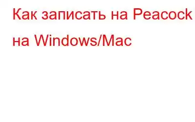 Как записать на Peacock на Windows/Mac