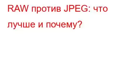 RAW против JPEG: что лучше и почему?