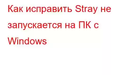 Как исправить Stray не запускается на ПК с Windows