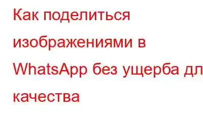 Как поделиться изображениями в WhatsApp без ущерба для качества