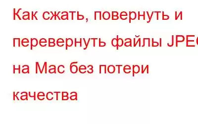 Как сжать, повернуть и перевернуть файлы JPEG на Mac без потери качества