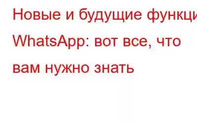 Новые и будущие функции WhatsApp: вот все, что вам нужно знать