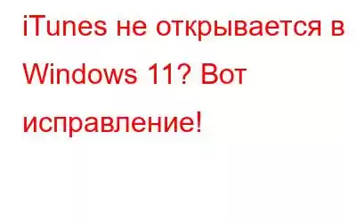 iTunes не открывается в Windows 11? Вот исправление!