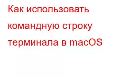 Как использовать командную строку терминала в macOS