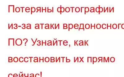 Потеряны фотографии из-за атаки вредоносного ПО? Узнайте, как восстановить их прямо сейчас!