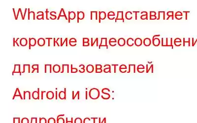 WhatsApp представляет короткие видеосообщения для пользователей Android и iOS: подробности