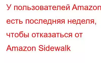 У пользователей Amazon есть последняя неделя, чтобы отказаться от Amazon Sidewalk