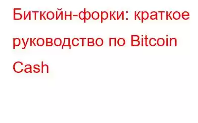 Биткойн-форки: краткое руководство по Bitcoin Cash