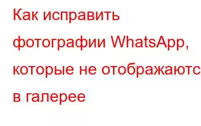 Как исправить фотографии WhatsApp, которые не отображаются в галерее