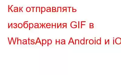 Как отправлять изображения GIF в WhatsApp на Android и iOS