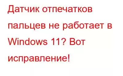 Датчик отпечатков пальцев не работает в Windows 11? Вот исправление!