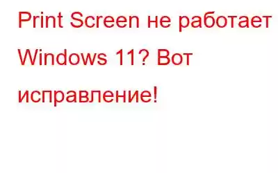 Print Screen не работает в Windows 11? Вот исправление!