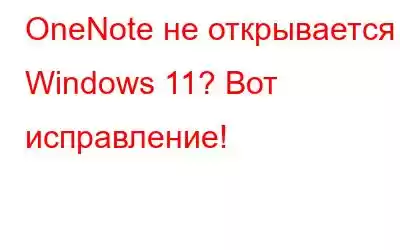 OneNote не открывается в Windows 11? Вот исправление!