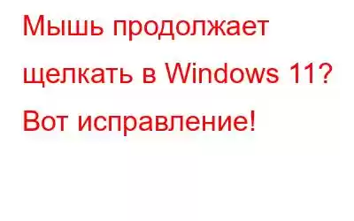 Мышь продолжает щелкать в Windows 11? Вот исправление!